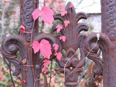 A more natural seasonal display.