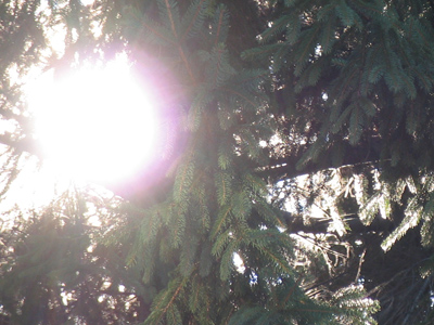 Back by popular demand:  the sun.