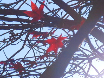 You know the old saying, `Make pictures while the sun shines`.