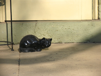 It was cold last night.  Guess we shoulda brought the cat in.