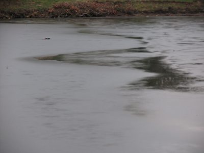 Maybe it`s not solid enough for skating but I`ll try it . . . 