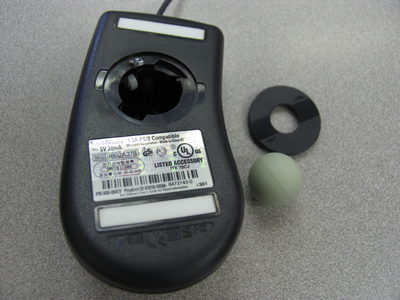 Today at school, I got to dissect a mouse.