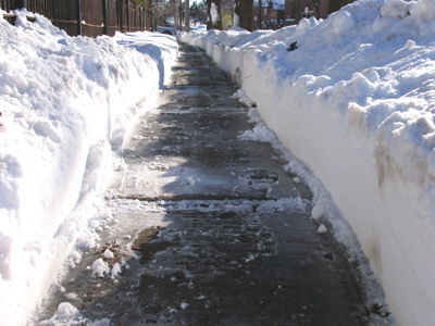 My neighbors have a snowblower.  Well . . . GOOD FOR THEM!!  [I hate winter.]
