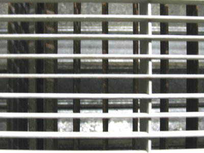 Venting my anger at not being able to go outside and take pictures.