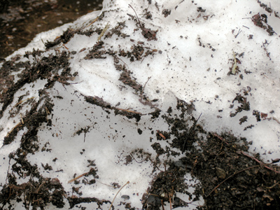 Mmm - I just wanna put a big handful into my mouth.