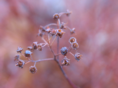 Closed for the season.