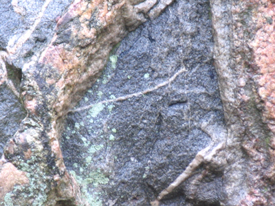 Besides the symmetrical circle, most natural patterns are irregular.