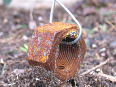 I`ve achieved a closeness to the earth.