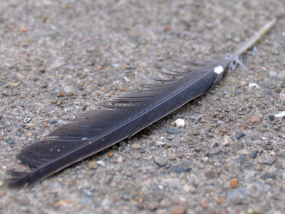 Actually I was just looking for money on the ground.