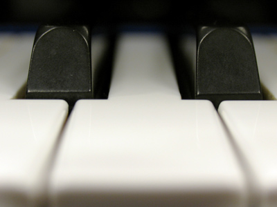 Ebony and ivory live together in perfect harmony.