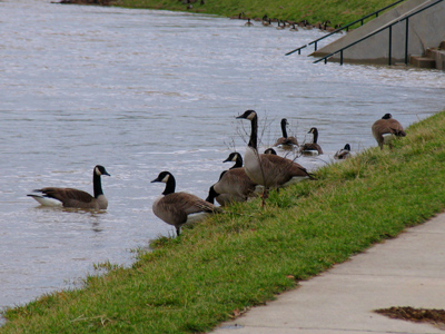  . . . but everyone was evacuated safely.