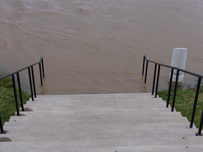 If I`d walked down a few more stairs, I could`ve made the evening news.