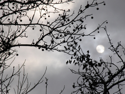 It was partly cloudy.