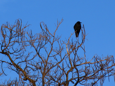 It`s lonely at the top.