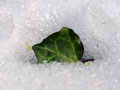 I thought I saw a thaw.