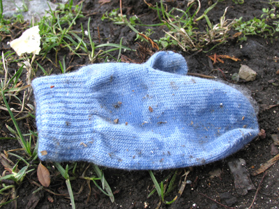 Today`s lost and found item.