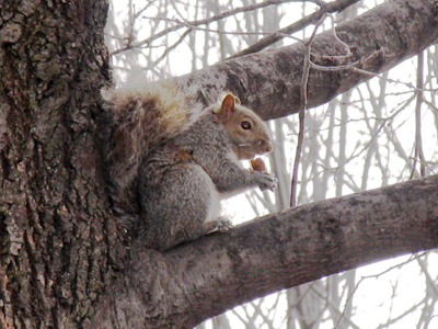 Everybody loves a Slim Jim.