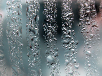 Raindrops streaked down my window in uncannily orderly rows.  Evidence of intelligent design?