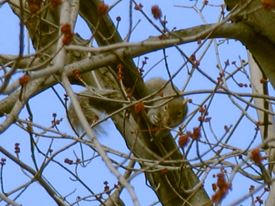 We think he looks cute, but he`s just trying to stay alive.