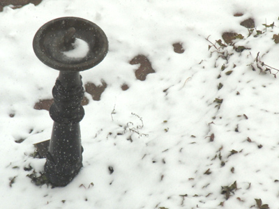 Oh the weather outside is frightful . . . 