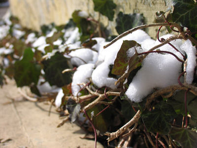 It lingers in shadows and in corners.