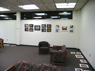 8:09pm:  realizing I don`t know what I`m doing.  It`s dark outside.