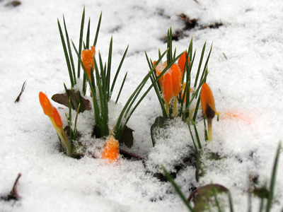 I told you yesterday this was too optimistic.