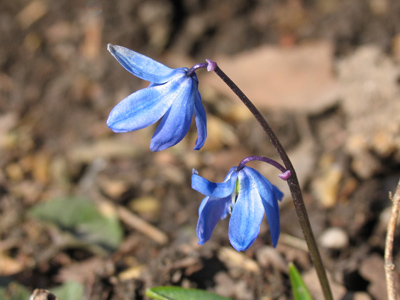 Preview of coming attractions.