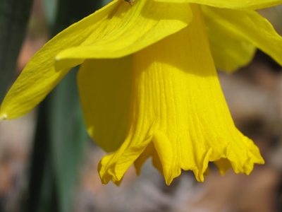 One of a few glimpses of sunshine.