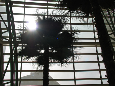 Sunrise in St. Petersburg.