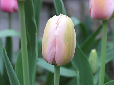 Tuesday 8:41am.  So, what was I saying?