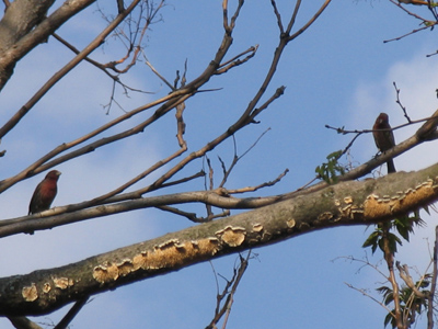 `Forget it!  YOU apologize first.`