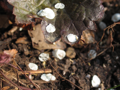  . . . and end up down here.