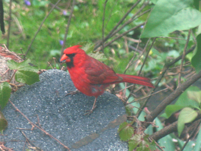 Just back from the conclave.