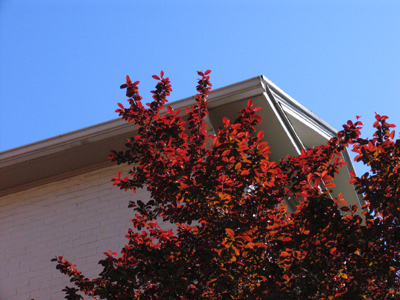 Don`t you dare say there`s nothing up there.