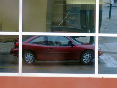 Something to do while waiting for the light to change.