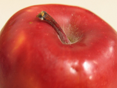  . . . and this was dessert.