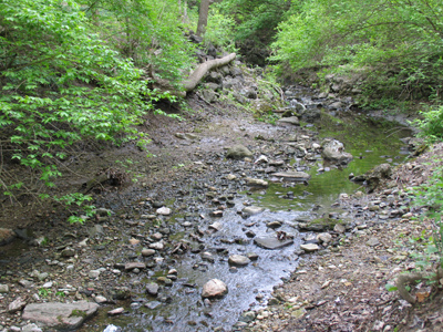 After the embarrasment of the past two days, I went out of my way to acquire beautiful images today.