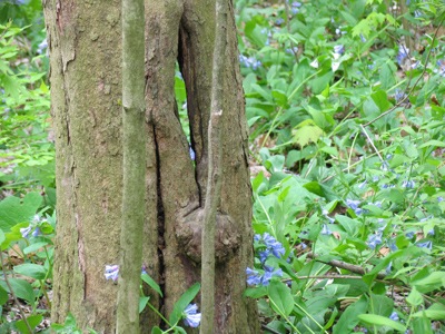 I dare you to stick your hand in there.