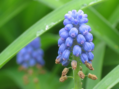 Much more to my liking.