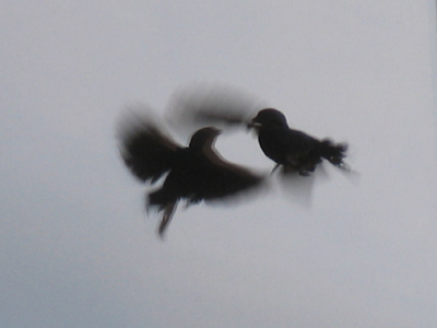 How often the struggles that we face . . . 