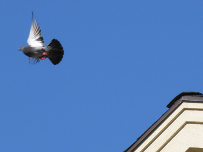 Friday afternoon quittin` time!