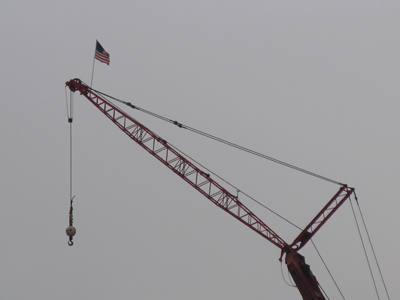 The great American crane:  an endangered species.