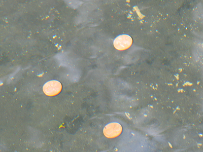 Three coins in the fountain;  or, I was questioned by a suspicious government employee while taking this picture.