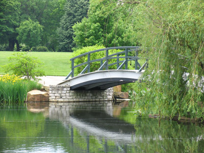 If I could paint a scene like this, I`d earn lots of Monet.