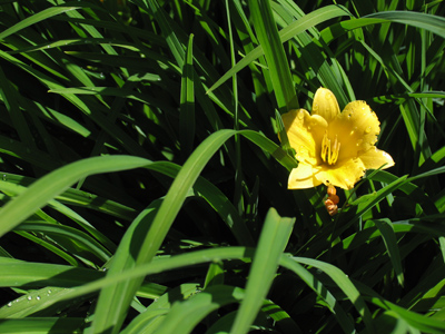 One is the loneliest number.