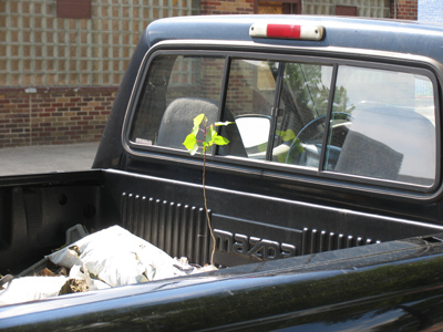 This truck still hasn`t moved (see December 2, etc.), but nature has taken its course.