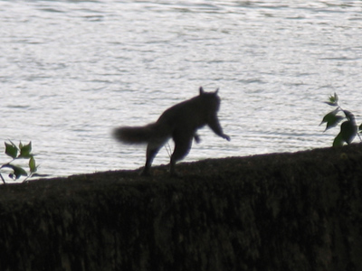 Out for a morning jog.
