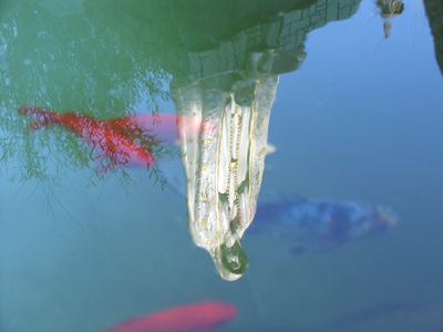 Our Lady of Fatima, with fish.