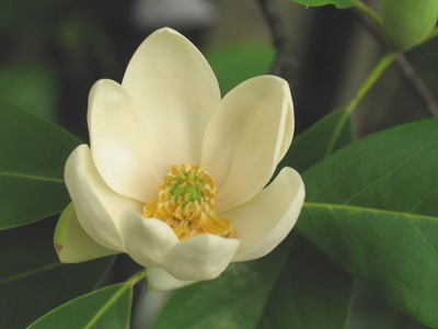  . . . but just beginning for this one.